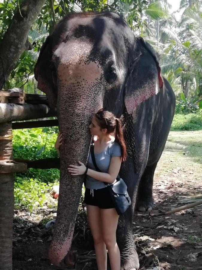 Rainbow Beach Resort Ambalangoda  Esterno foto